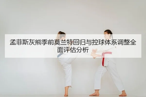 meng-fei-si-hui-xiong-ji-qian-mo-lan-te-hui-gui-yu-kong-qiu-ti-xi-tiao-zheng-quan-mian-ping-gu-fen-xi-2-268.jpg